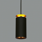 Накладной потолочный  светодиодный светильник DLS021 9+4W 4200К черный матовый/золото